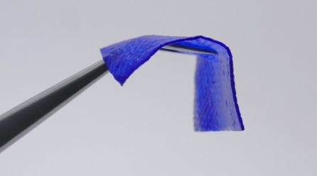 InterCollagen® Guide Collagen Membrane