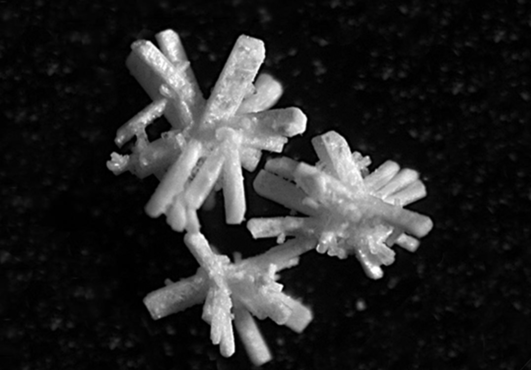 OsteoGen® Synthetic Bioactive Resorbable Calcium Apatite Graft