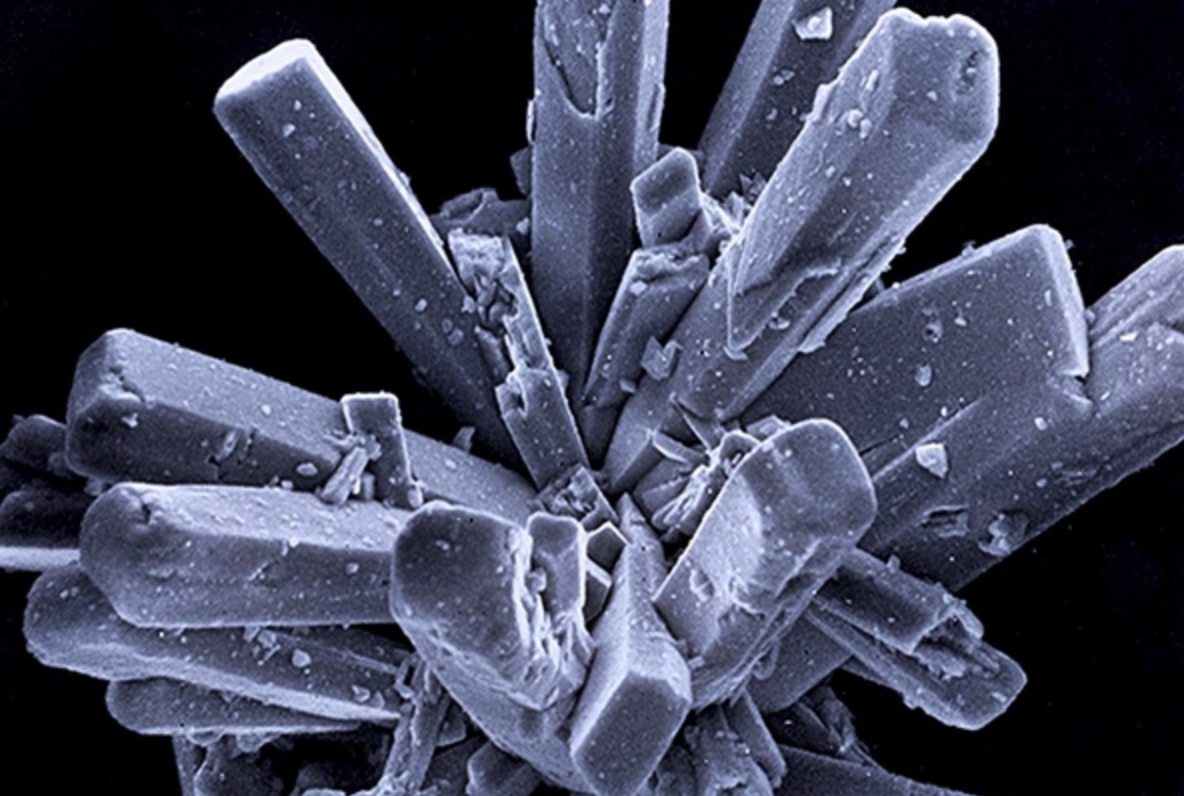 OsteoGen® Synthetic Bioactive Resorbable Calcium Apatite Graft