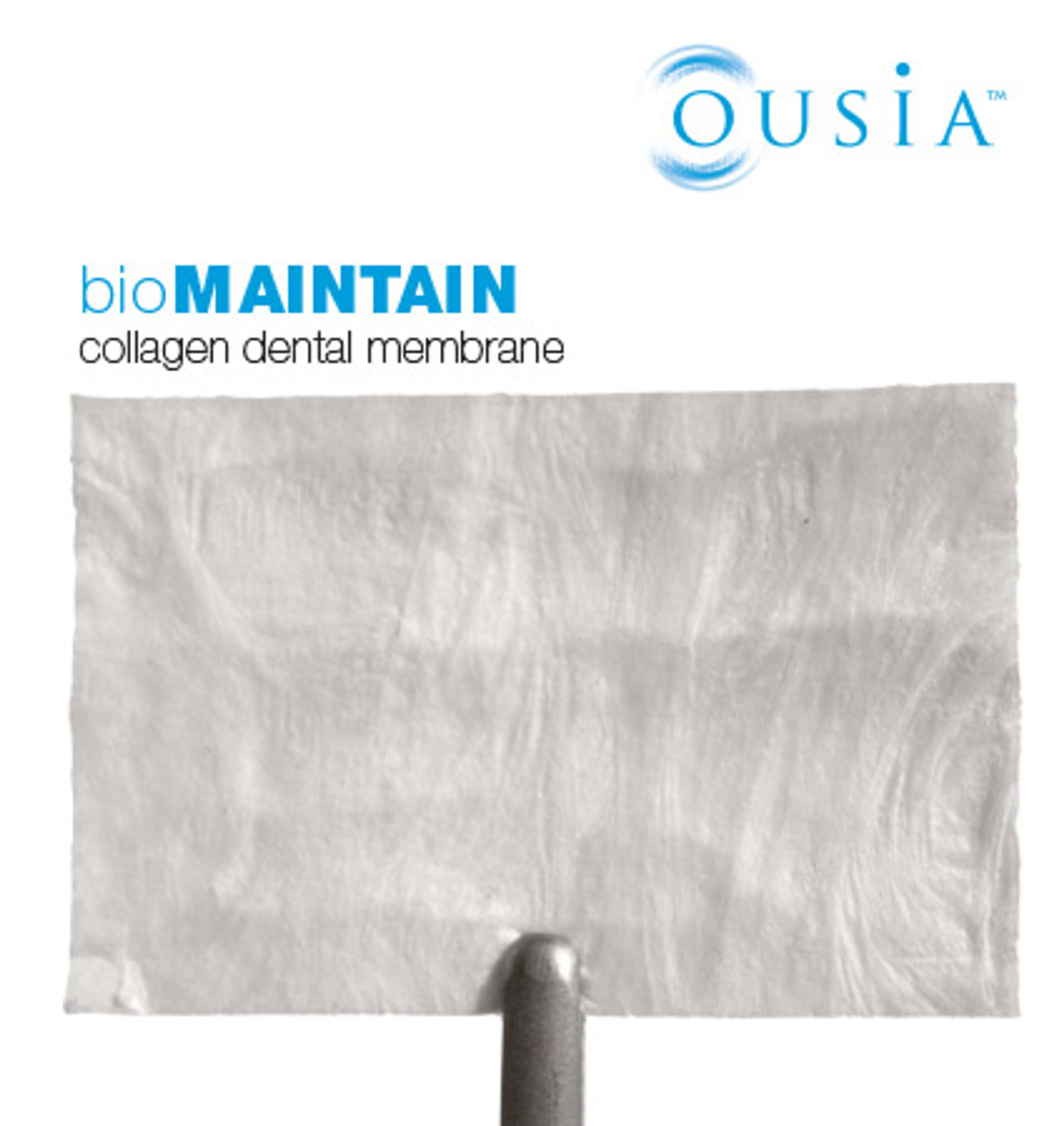 BioMaintain Bovine Collagen Membrane