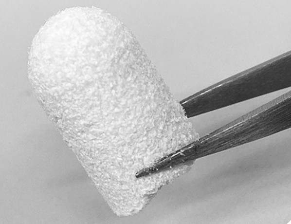 InterOss® Collagen Bone Regenerative Plug