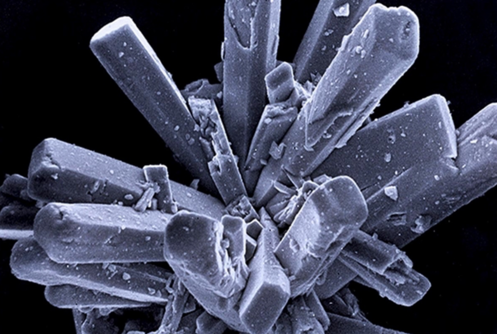 OsteoGen® Synthetic Bioactive Resorbable Calcium Apatite Graft