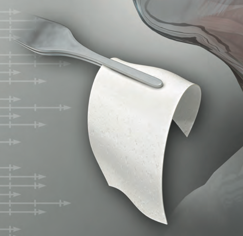 MatrixDerm Porcine Collagen Membrane