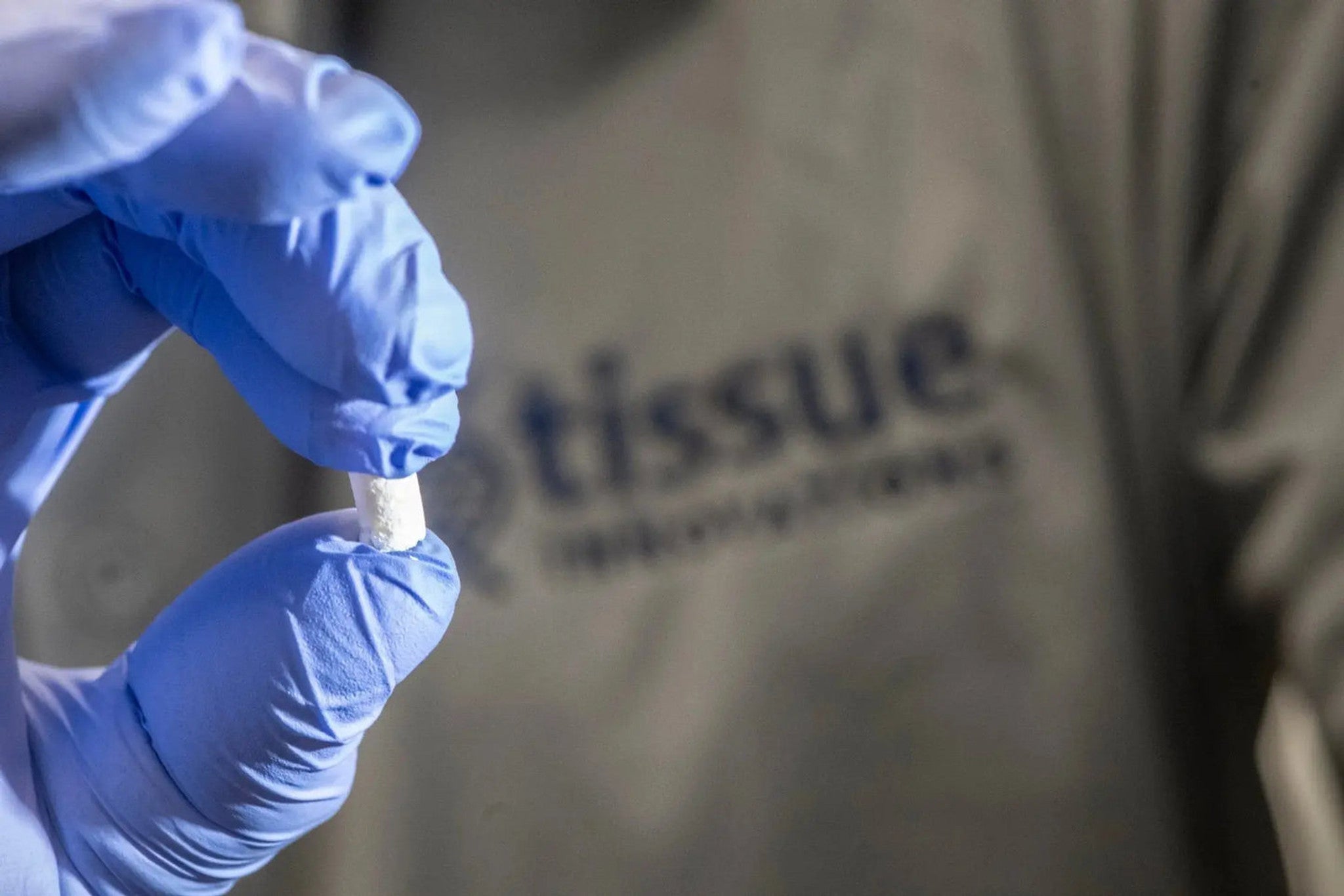 VeraFiber Allograft Plug 11x7.5mm